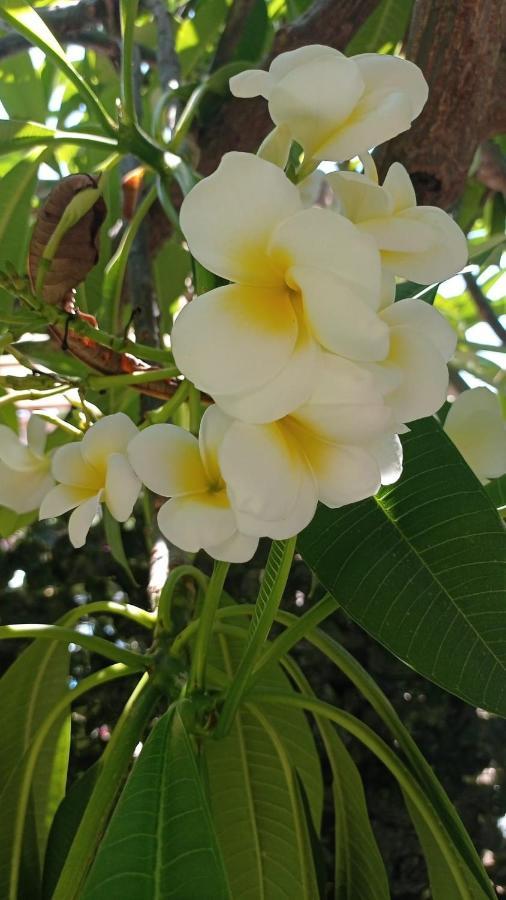 蒙德罗La Pomelia Di Gio别墅 外观 照片